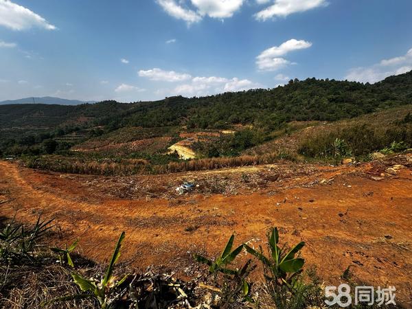 思茅最新土地出售信息全面解析