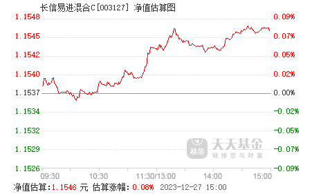 净值估算与最新净值，投资领域的核心要素解析