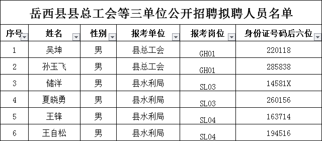 岳西在线家园最新招聘动态，人才与机遇交汇点探寻