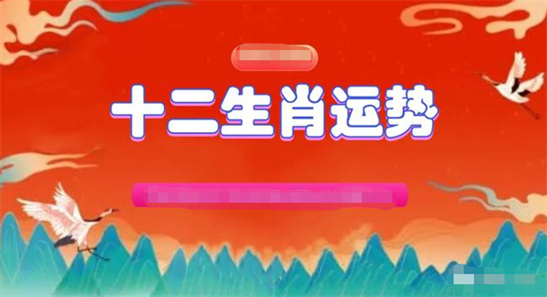 揭秘提升2024一码肖,实地分析解释定义_V228.893