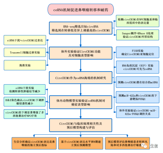 澳门2024正版资料免费看,合理解析评审决策_亲和版2.801