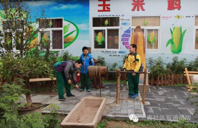 神级农场，农业科技的巅峰之作最新章节揭秘