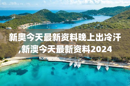 2024新奥今晚开什么号,全面理解执行计划_增强版8.317