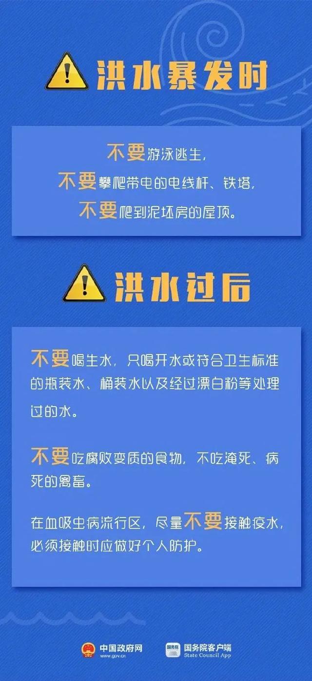 新澳最精准免费资料,科学化方案实施探讨_特别版2.336