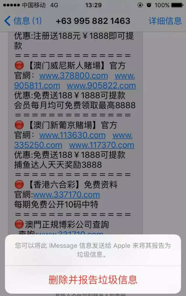 2024年澳门天天彩开奖结果,详细解读落实方案_win305.210