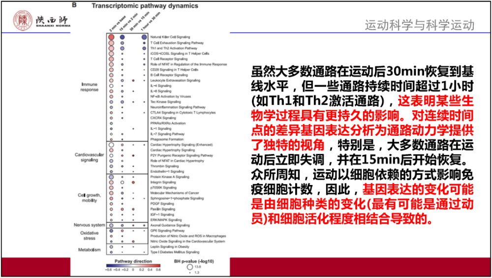 香港正版资料免费大全年使用方法,效率资料解释落实_AR版7.672