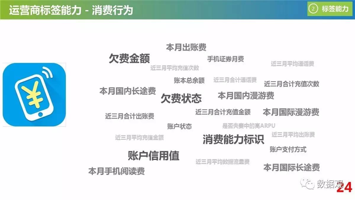 管家婆204年资料一肖配成龙,数据资料解释落实_游戏版256.183