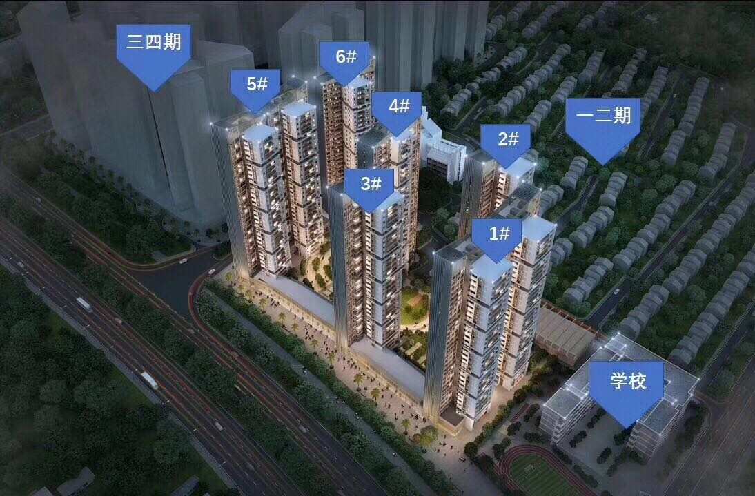 实地常春藤最新价格及趋势分析