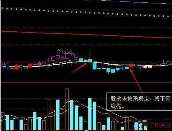 2024今晚香港开特马开什么号码,市场趋势方案实施_专家版1.936