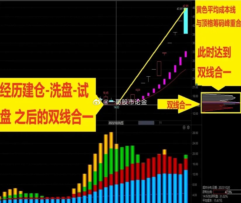 管家婆2024年一马中,数据导向计划解析_Q98.265