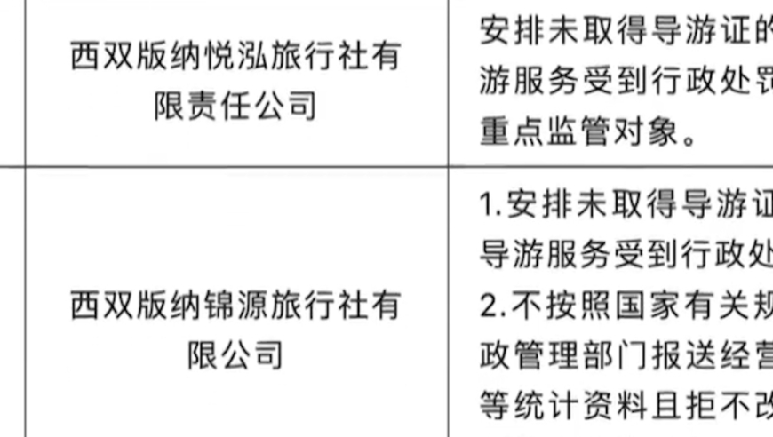 2024年资料大全免费,专业调查解析说明_粉丝款18.543