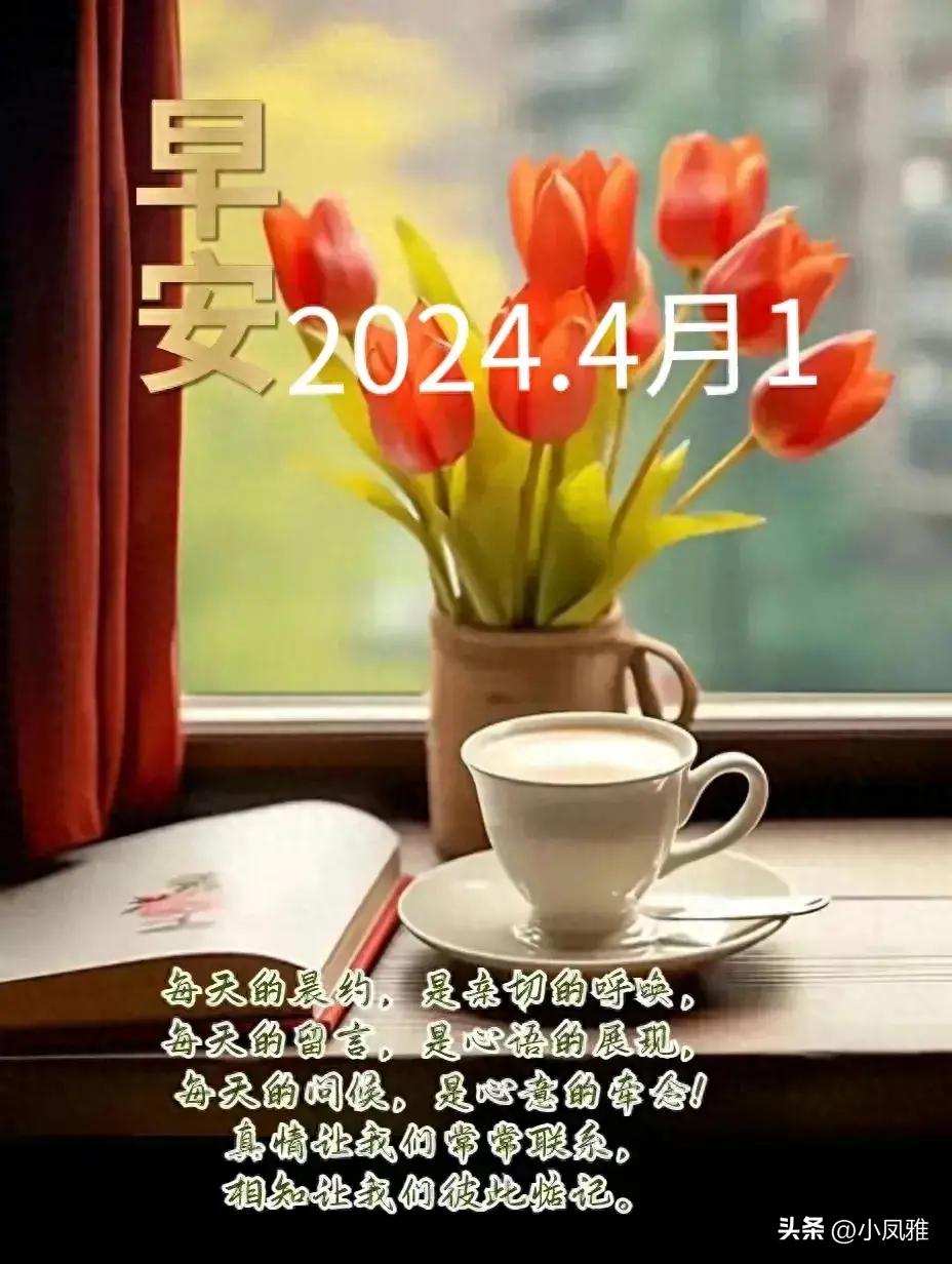 2024天天彩正版资料大全,持续解析方案_U39.138