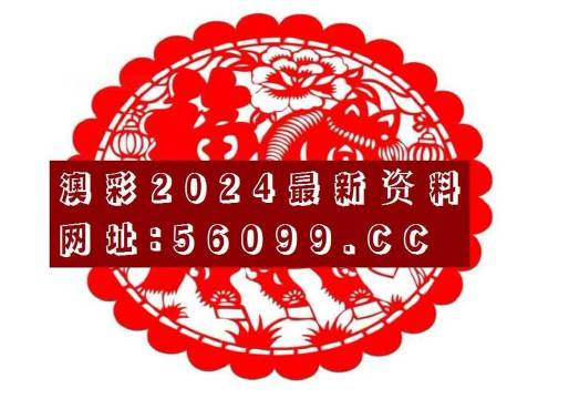 奥门2024正版资料免费看,宝贵经验解析落实_休闲版2.564