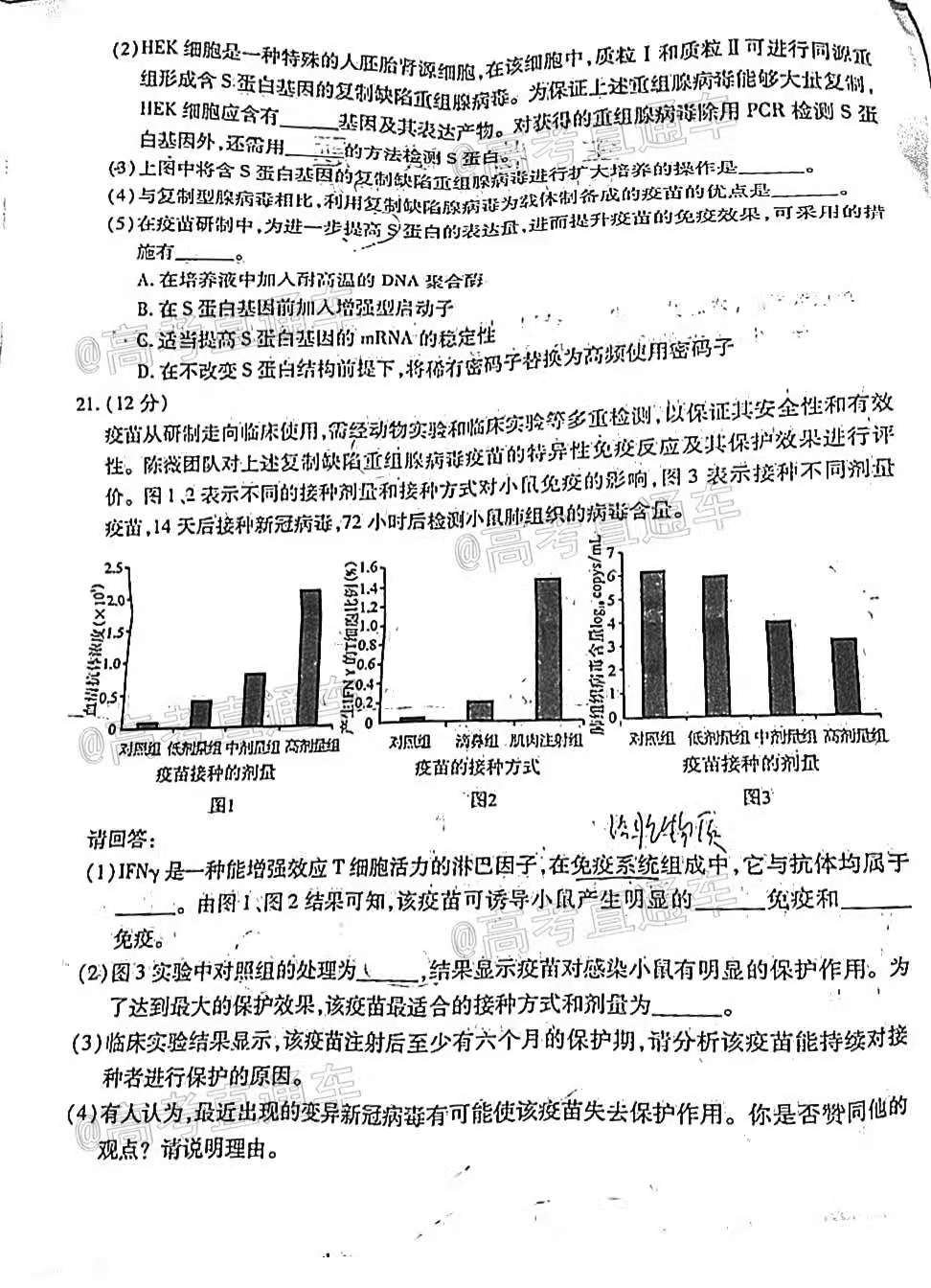 澳门正版资料免费大全版门,全面解析解答解释问题_双语版72.344