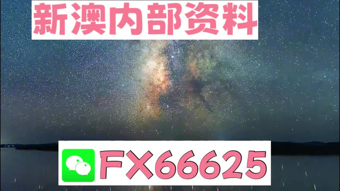 2024新澳天天彩免费资料,闪电解答解释落实_快捷款95.185