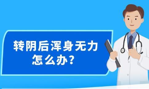 新澳最精准免费资料大全,供应链执行解答_解密版35.837