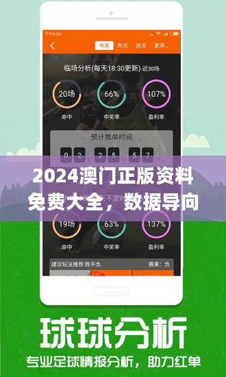 2024新澳门正版精准免费大全,权威执行解答效果_储备版90.64