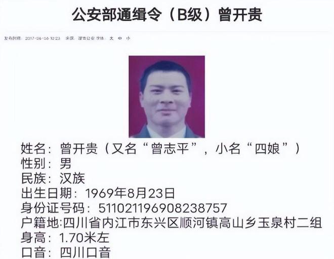 最新网上通缉犯名单，犯罪真相与公众安全的较量