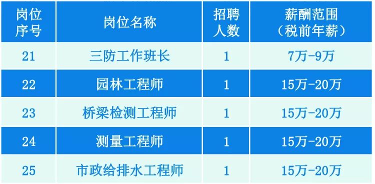 2024新澳兔费资料琴棋,可靠性执行方案_核心版91.748