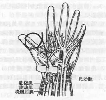 桡动脉穿定位法的最新进展研究综述