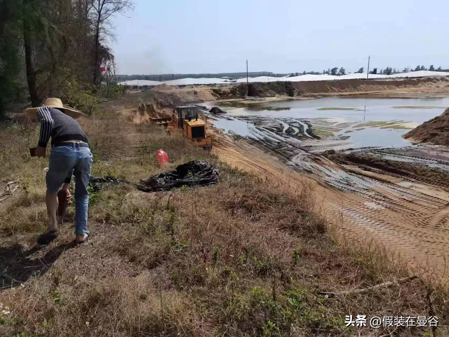 深圳铲车司机招聘，职业前景、要求及应聘指南